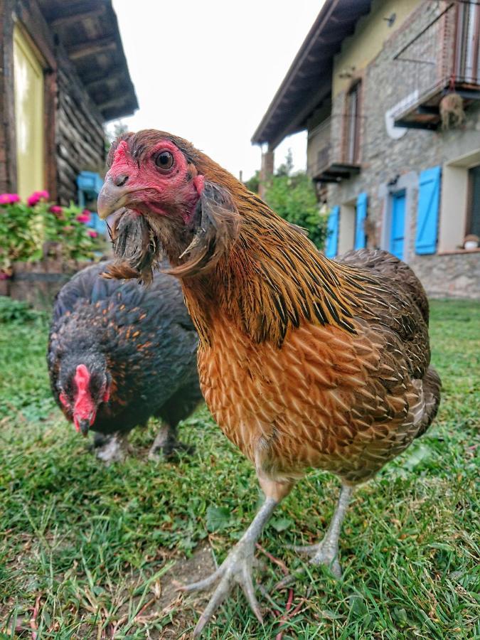 La Casa Dei Cuori Alojamento de Acomodação e Pequeno-almoço
